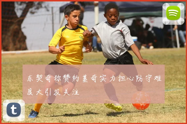 东契奇称赞约基奇实力担心防守难度大引发关注