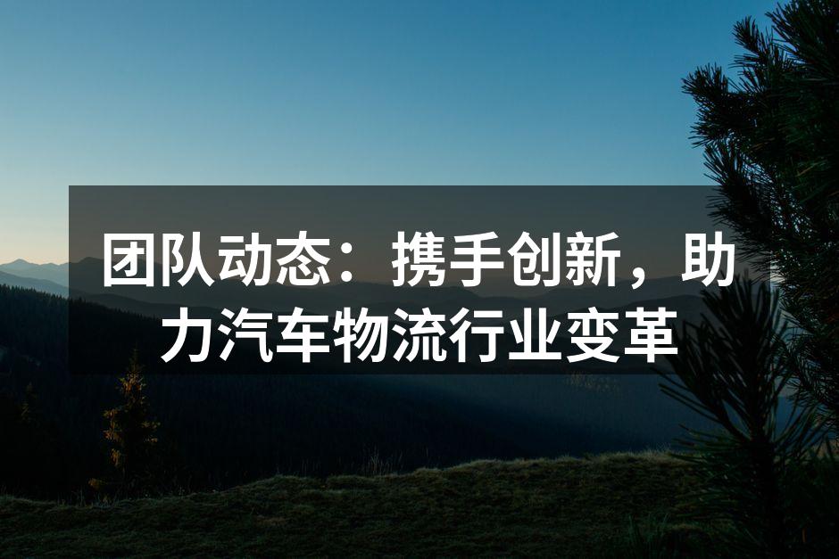 团队精诚合作,推动物流创新